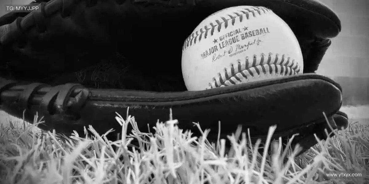 ⚡️ 速度与激情碰撞,